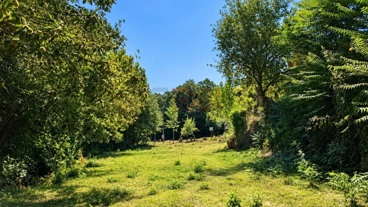 Terreno para Venda em Balança Foto 5