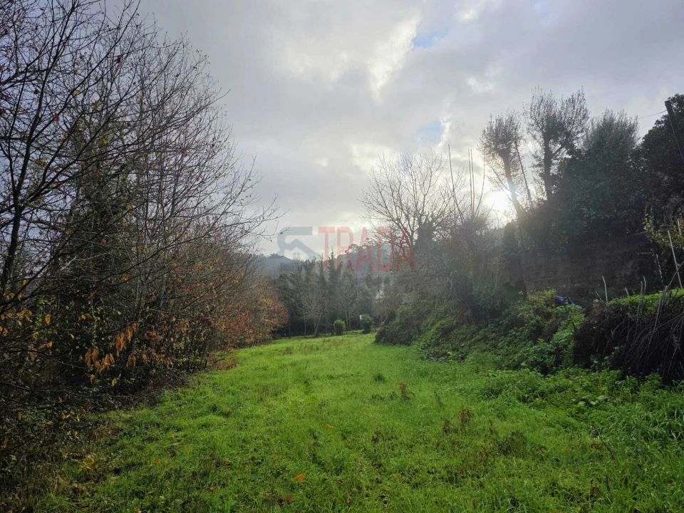 Terreno para Venda em Balança Foto 4