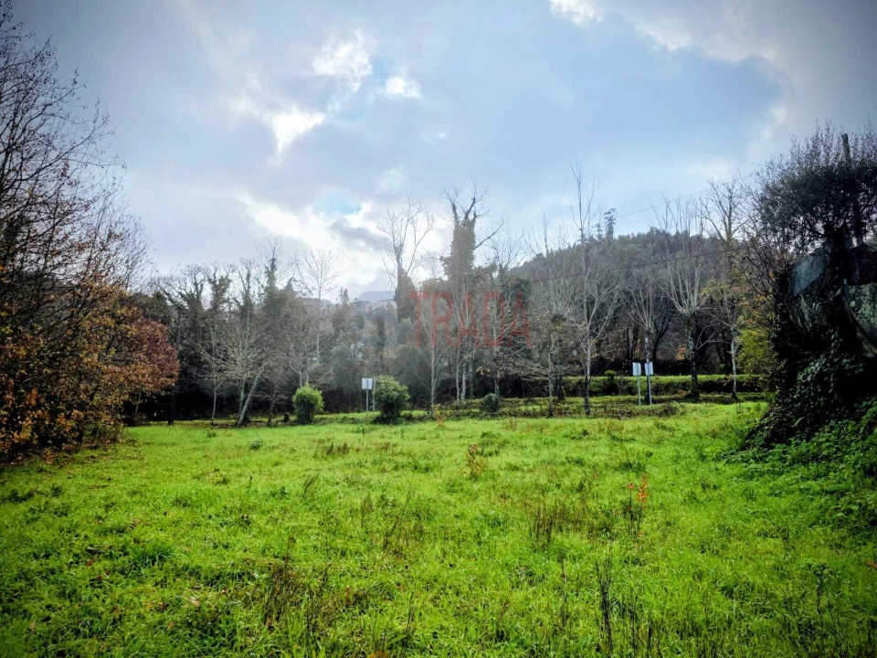 Terreno para Venda em Balança Foto 5