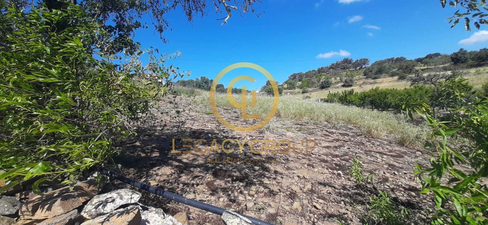 Terreno para Venda em Alcoutim e Pereiro Foto 9