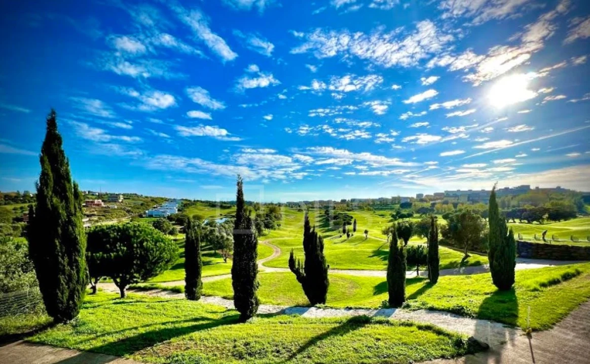 Terreno para Venda em Barcarena Foto 4