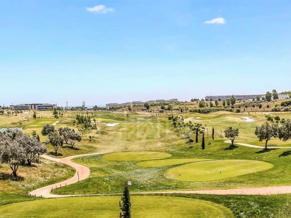 Terreno para Venda em Barcarena Foto 5