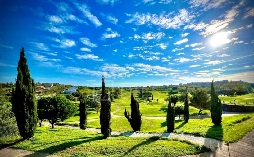Terreno para Venda em Barcarena Foto 4