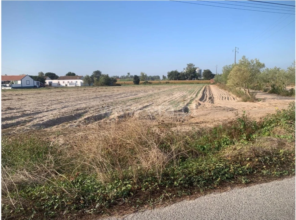 Terreno para Venda em Salvaterra de Magos e Foros de Salvaterra Foto 1