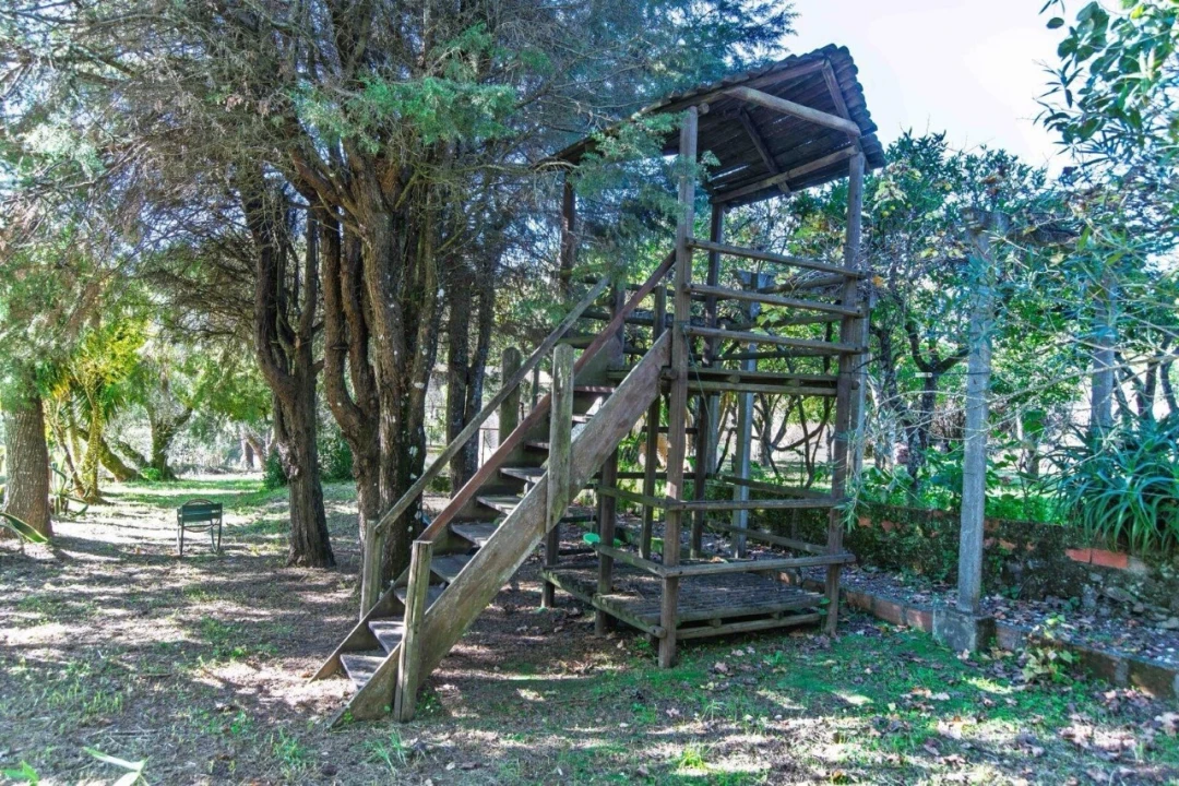 Loja para Venda em Martinchel Foto 25