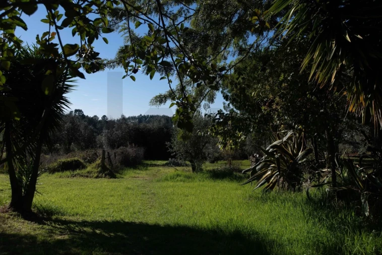 Loja para Venda em Martinchel Foto 26