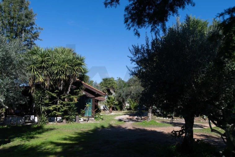 Loja para Venda em Martinchel Foto 29