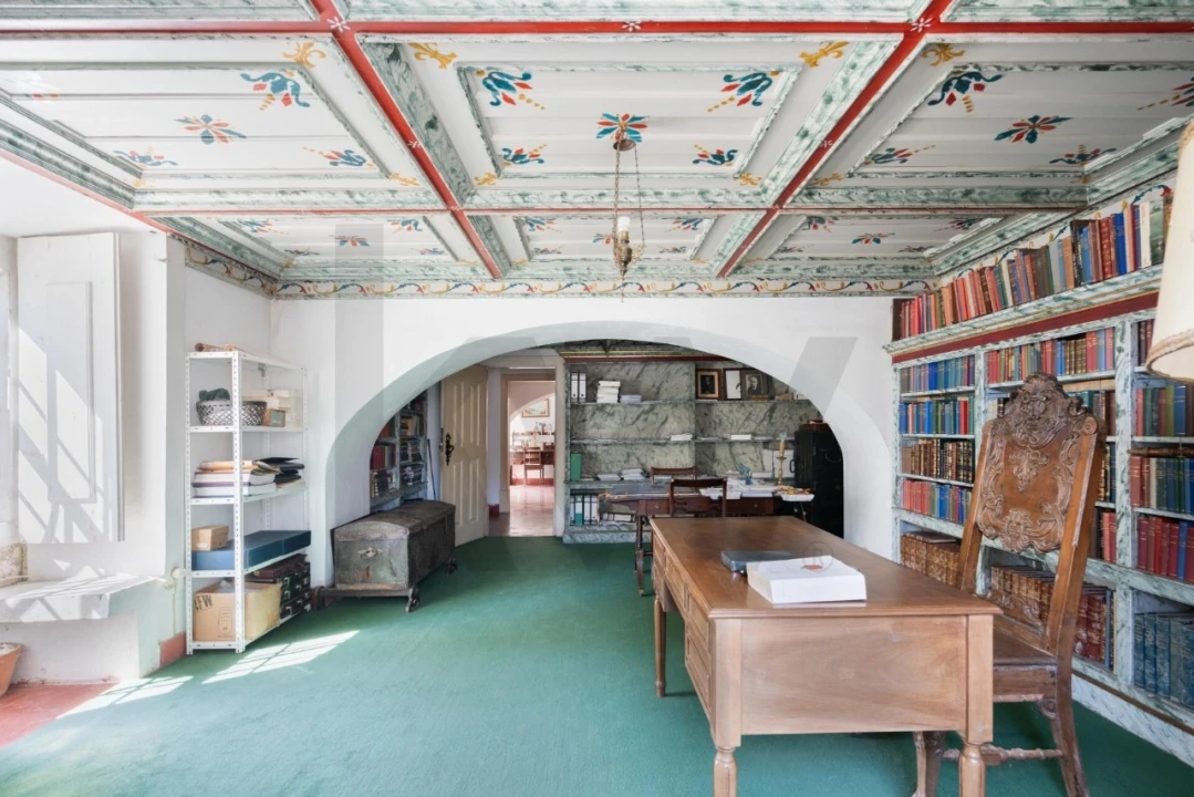 Quinta T20 para Venda em Arcos e Mogofores Foto 25