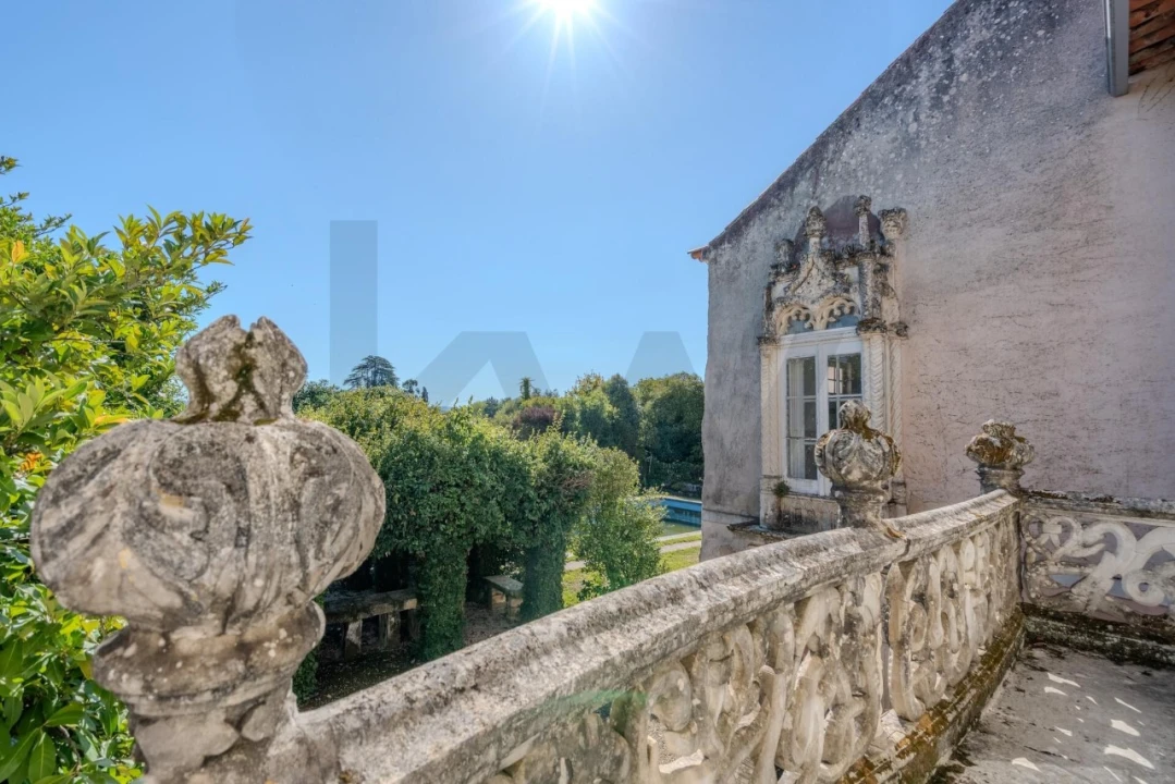 Quinta T20 para Venda em Arcos e Mogofores Foto 49