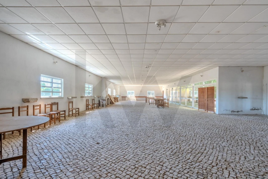 Quinta T20 para Venda em Arcos e Mogofores Foto 54