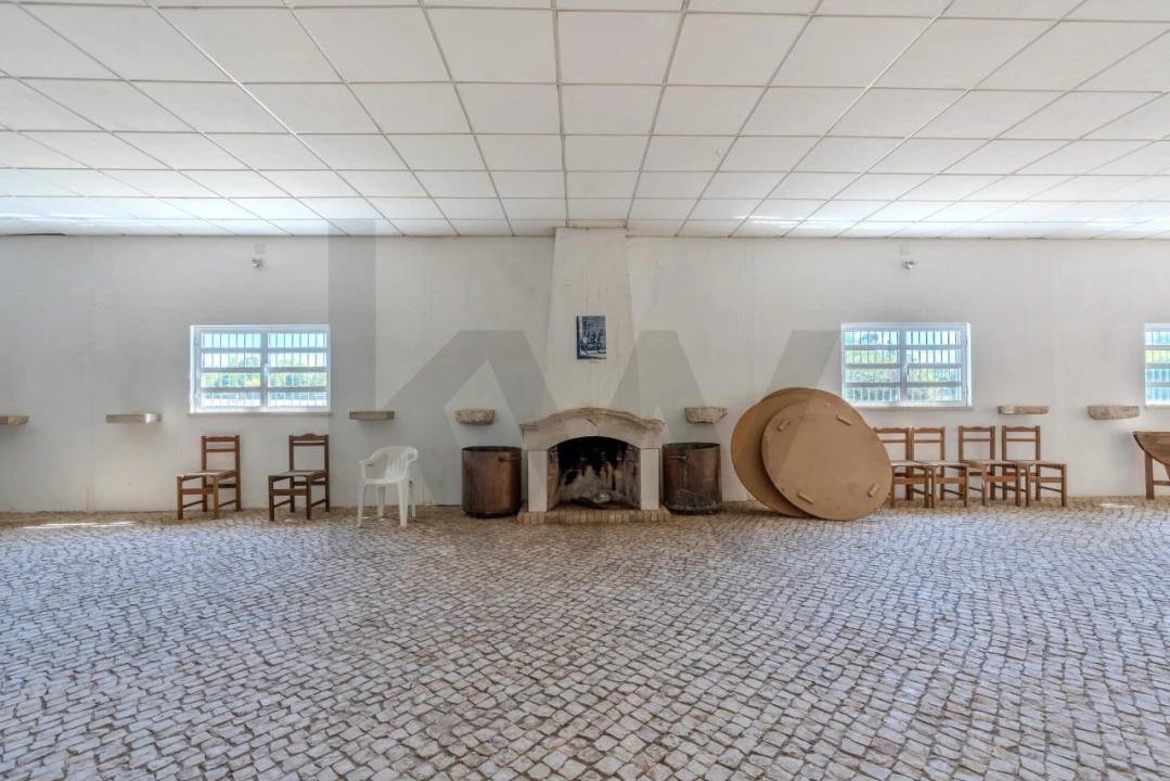 Quinta T20 para Venda em Arcos e Mogofores Foto 55