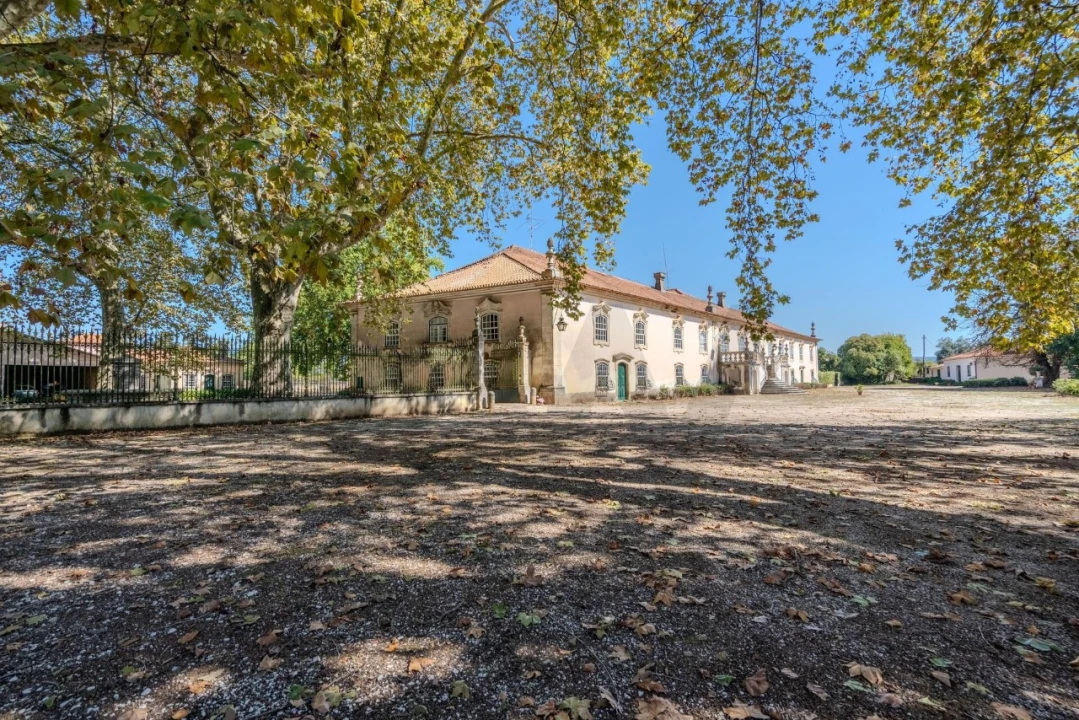 Quinta T20 para Venda em Arcos e Mogofores Foto 58