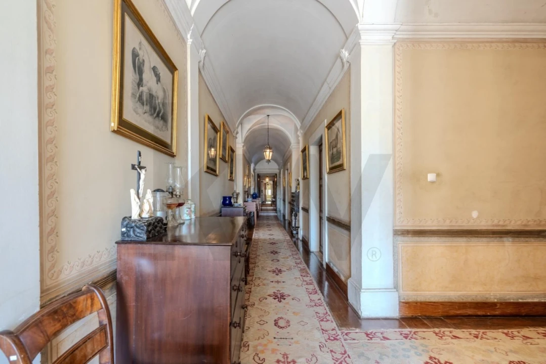 Quinta T20 para Venda em Arcos e Mogofores Foto 18