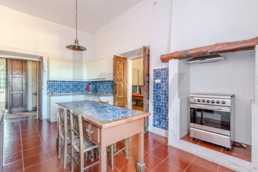 Quinta T20 para Venda em Arcos e Mogofores Foto 30