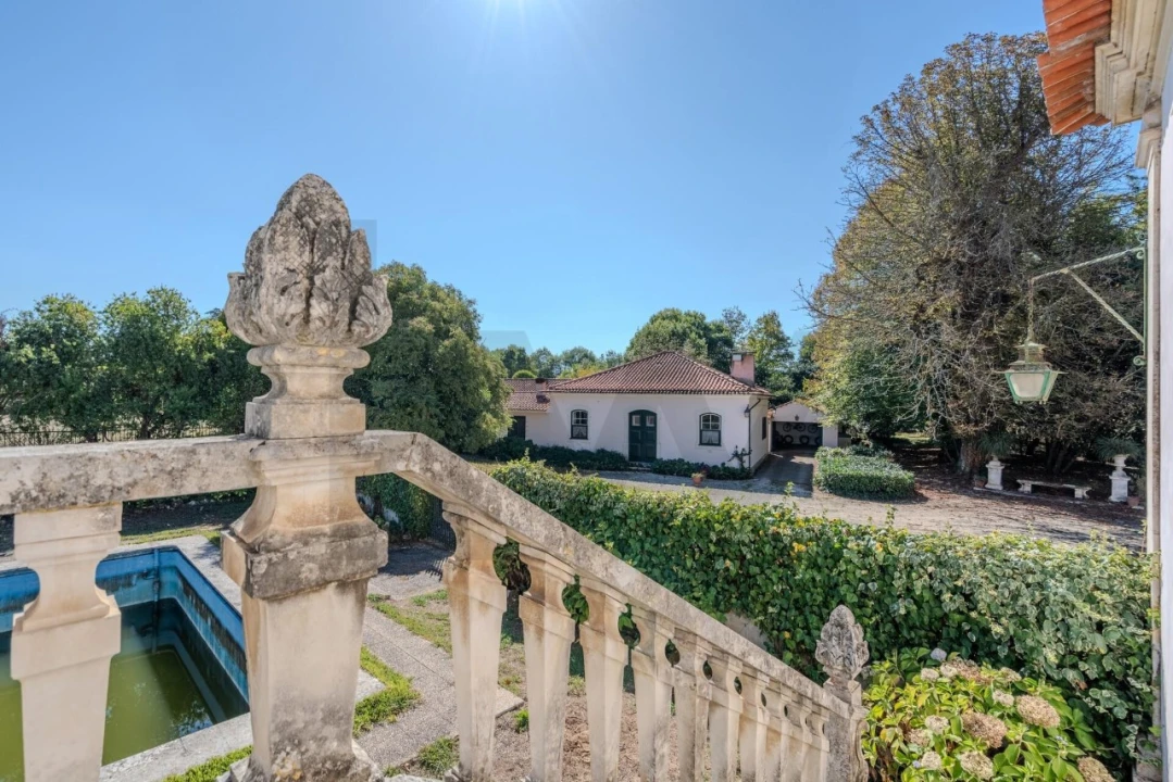 Quinta T20 para Venda em Arcos e Mogofores Foto 32