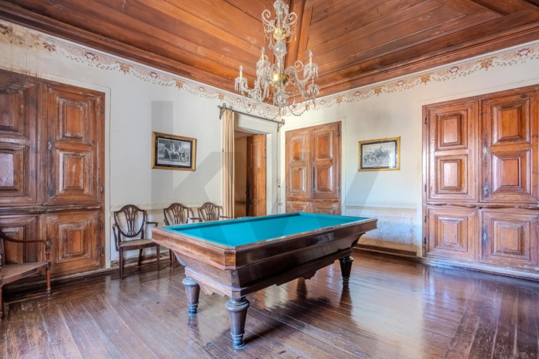 Quinta T20 para Venda em Arcos e Mogofores Foto 42