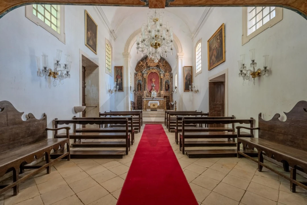 Quinta T20 para Venda em Arcos e Mogofores Foto 45