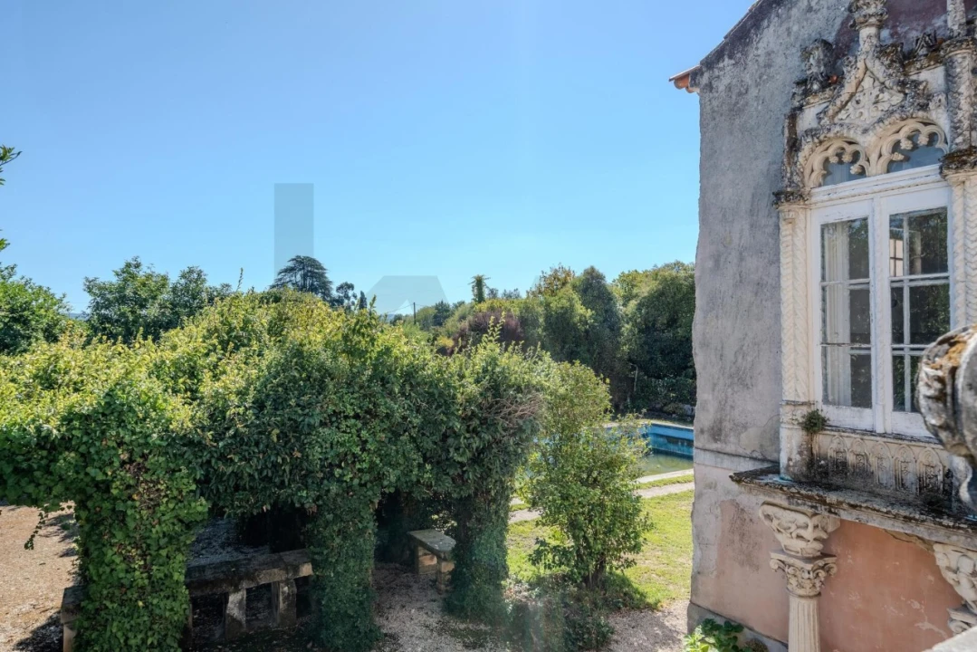 Quinta T20 para Venda em Arcos e Mogofores Foto 48