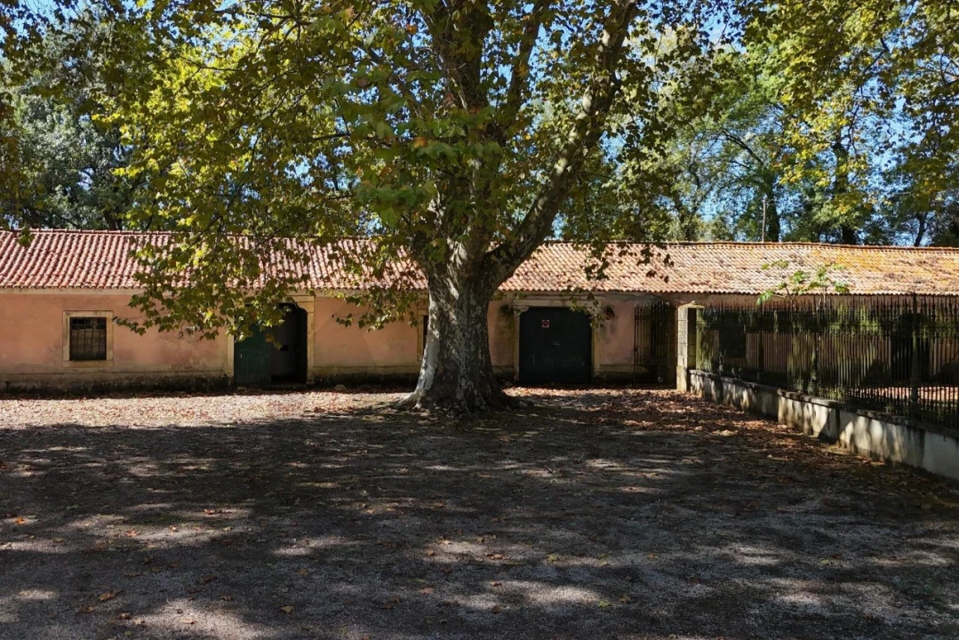 Quinta T20 para Venda em Arcos e Mogofores Foto 59