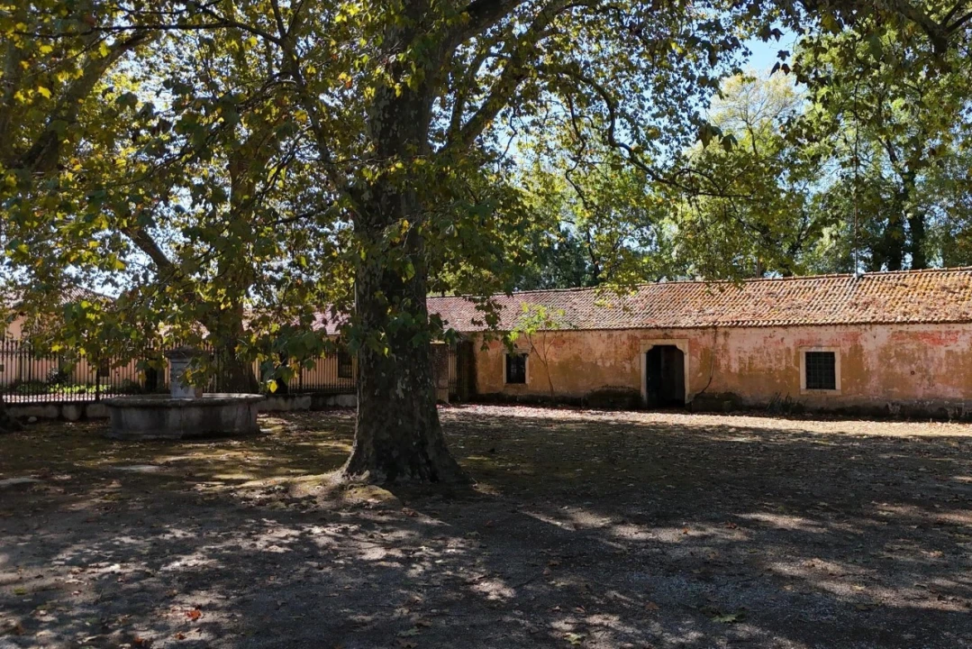 Quinta T20 para Venda em Arcos e Mogofores Foto 60