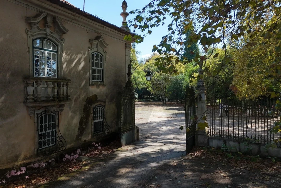 Quinta T20 para Venda em Arcos e Mogofores Foto 63