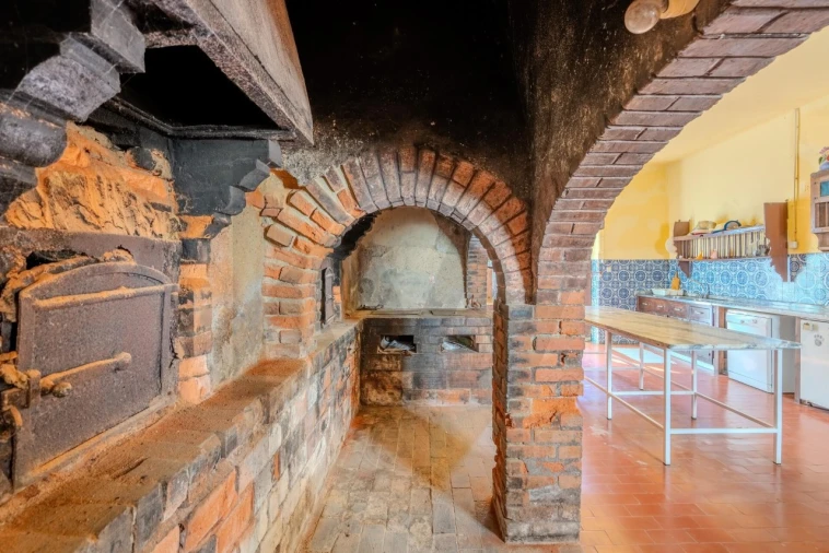 Quinta T20 para Venda em Arcos e Mogofores Foto 29