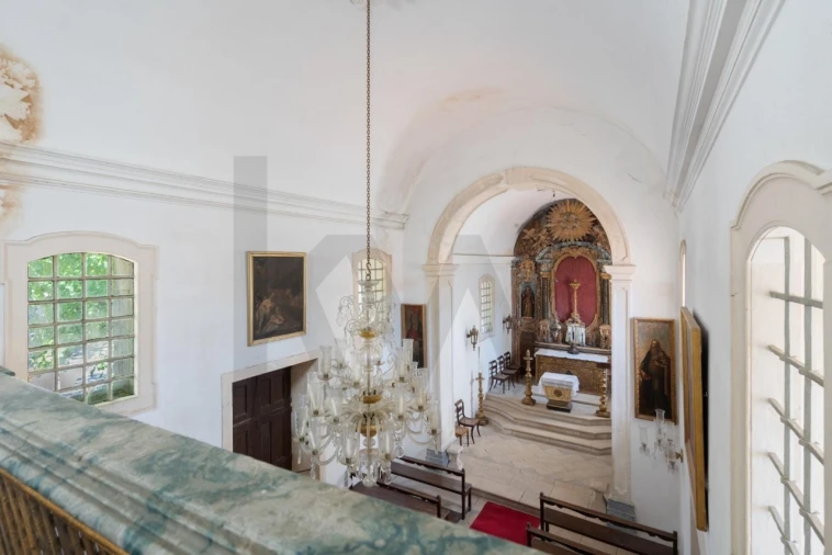 Quinta T20 para Venda em Arcos e Mogofores Foto 44