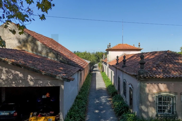 Quinta T20 para Venda em Arcos e Mogofores Foto 62