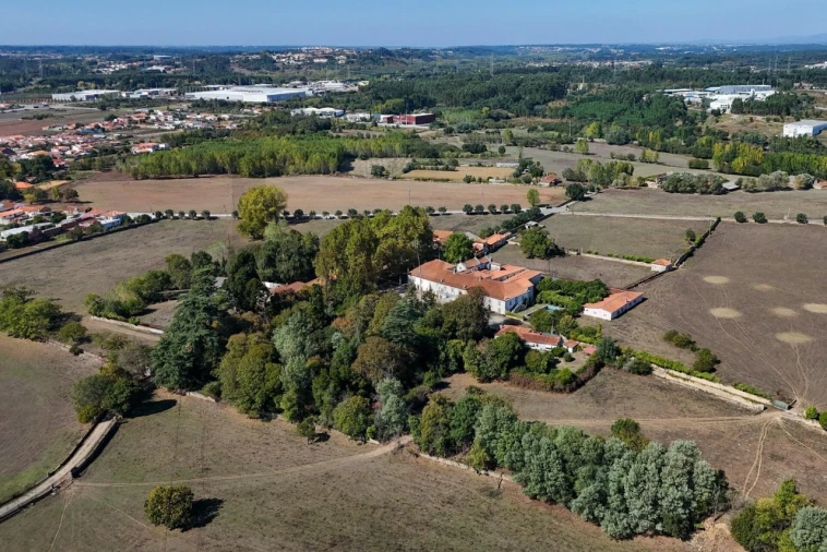 Quinta T20 para Venda em Arcos e Mogofores Foto 68