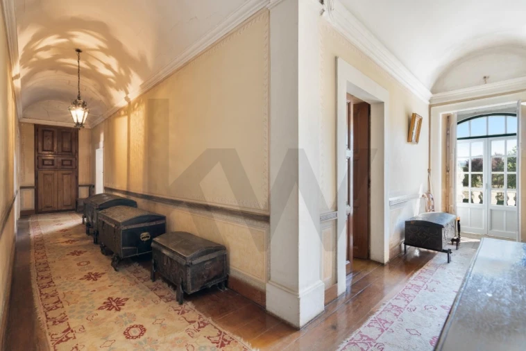 Quinta T20 para Venda em Arcos e Mogofores Foto 19