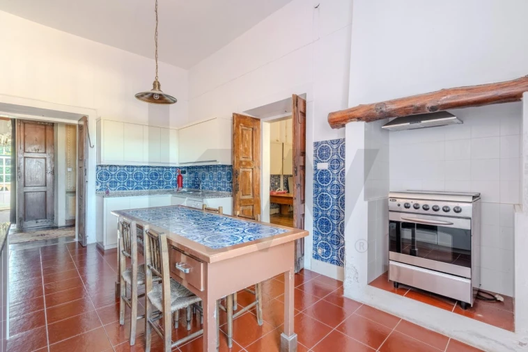 Quinta T20 para Venda em Arcos e Mogofores Foto 30