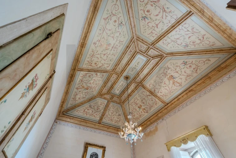 Quinta T20 para Venda em Arcos e Mogofores Foto 34