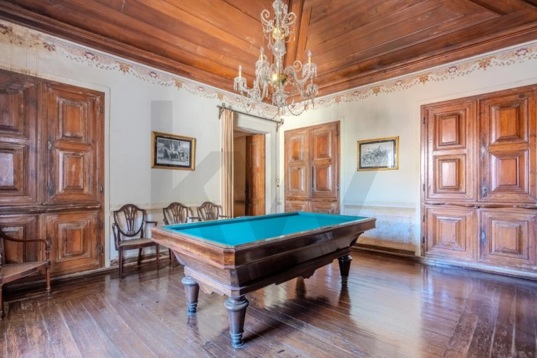 Quinta T20 para Venda em Arcos e Mogofores Foto 42