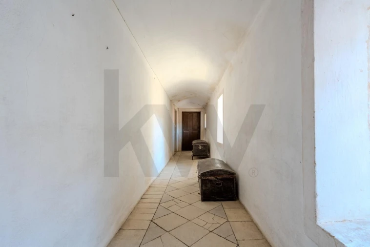 Quinta T20 para Venda em Arcos e Mogofores Foto 43