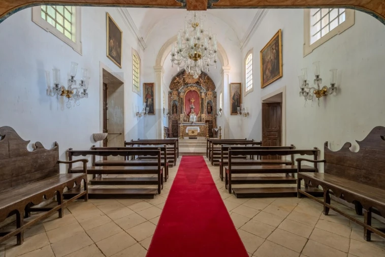 Quinta T20 para Venda em Arcos e Mogofores Foto 45