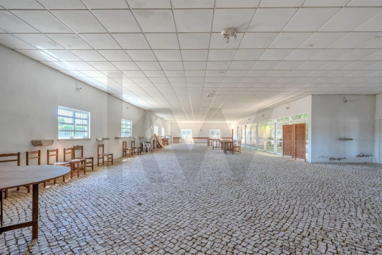 Quinta T20 para Venda em Arcos e Mogofores Foto 54