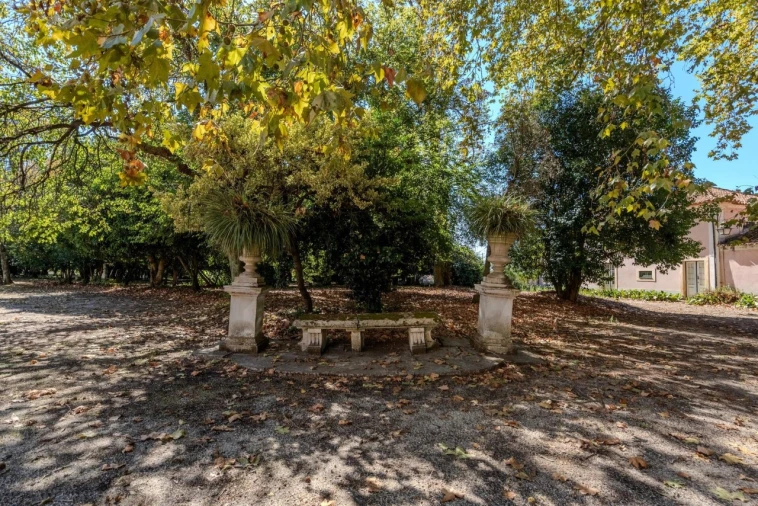 Quinta T20 para Venda em Arcos e Mogofores Foto 57