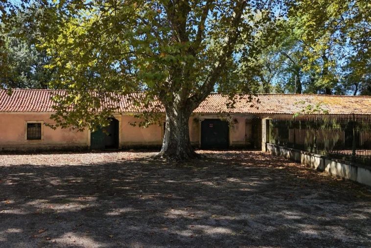 Quinta T20 para Venda em Arcos e Mogofores Foto 59