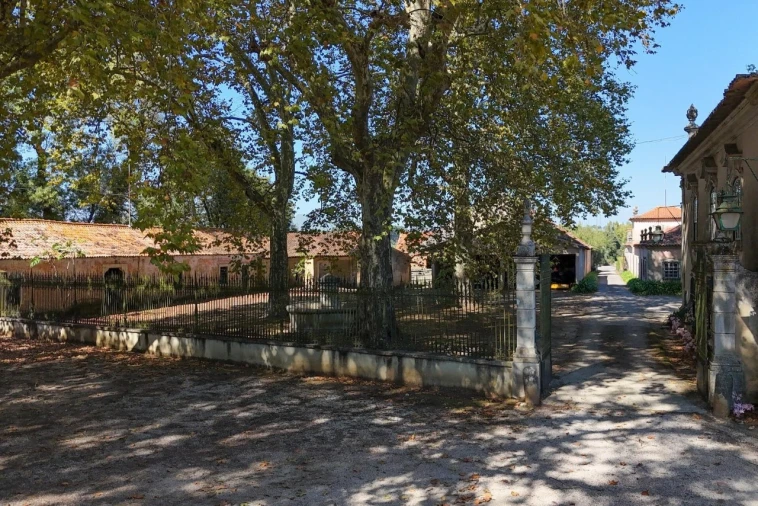 Quinta T20 para Venda em Arcos e Mogofores Foto 64