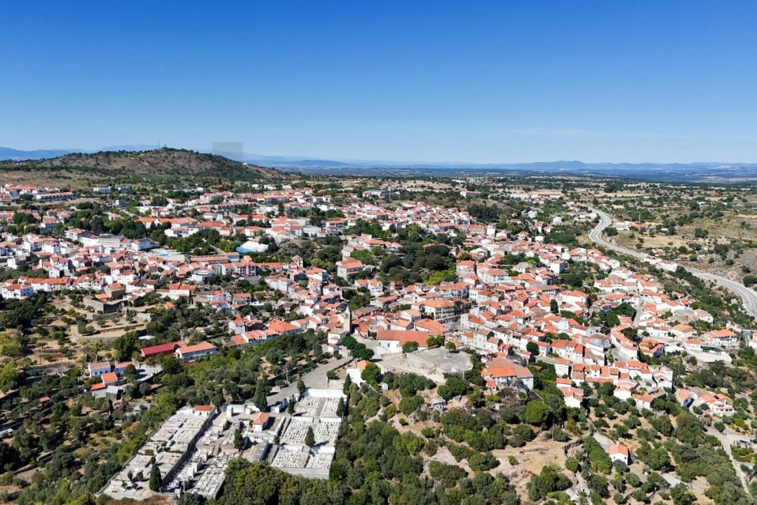 Quinta T33 para Venda em Idanha-A-Nova e Alcafozes Foto 47
