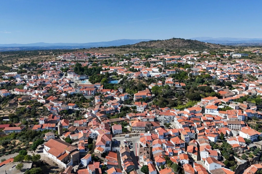 Quinta T33 para Venda em Idanha-A-Nova e Alcafozes Foto 46