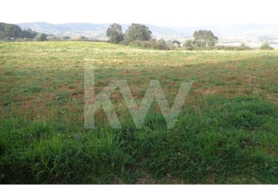 Terreno para Venda em Arruda dos Vinhos Foto 2