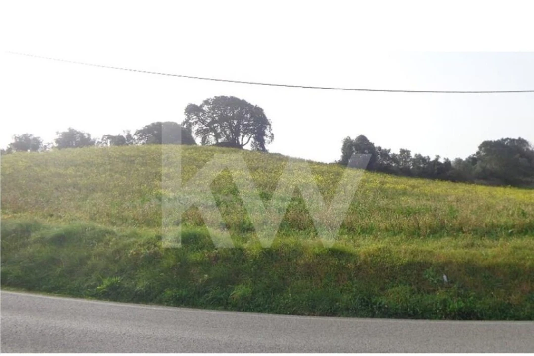 Terreno para Venda em Arruda dos Vinhos Foto 8