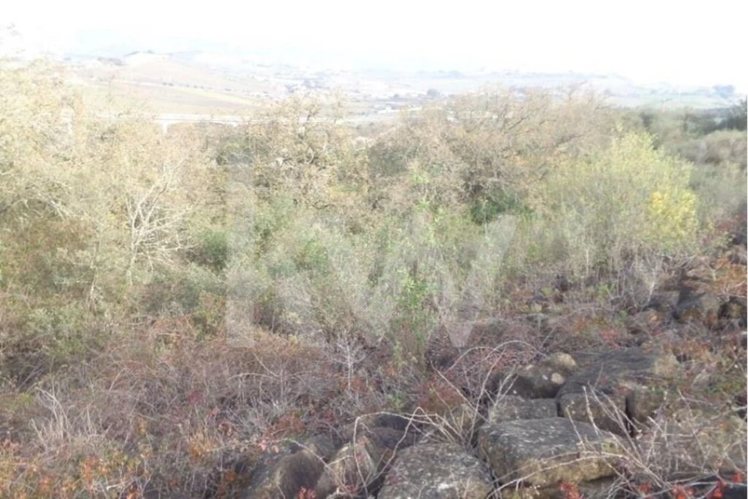 Terreno para Venda em Arruda dos Vinhos Foto 13