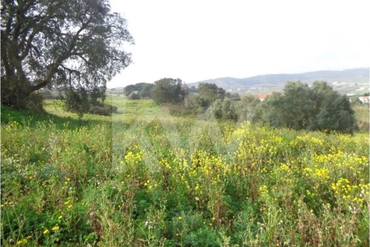 Terreno para Venda em Arruda dos Vinhos Foto 3