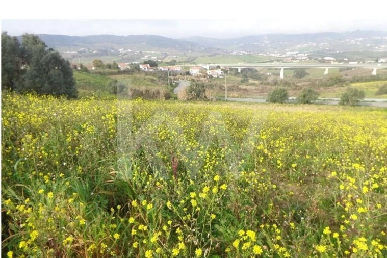 Terreno para Venda em Arruda dos Vinhos Foto 7