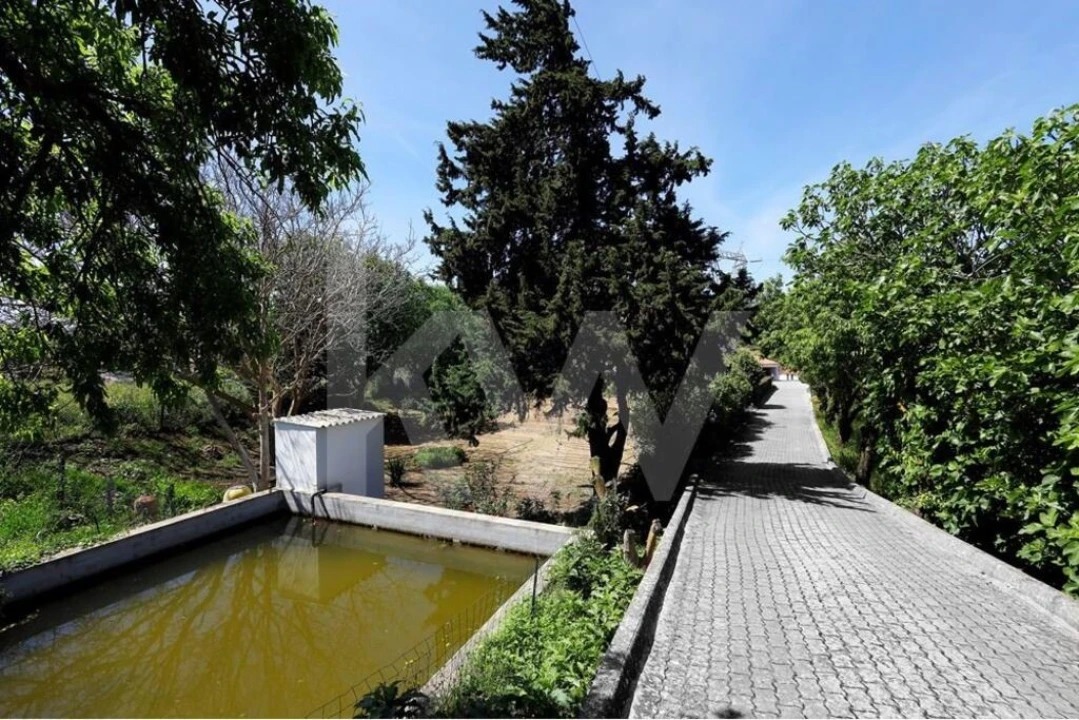 Moradia T5 para Venda em Vila Franca de Xira Foto 18