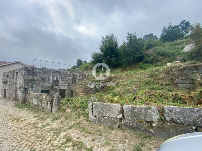 Terreno para Venda em Antime e Silvares (São Clemente) Foto 6