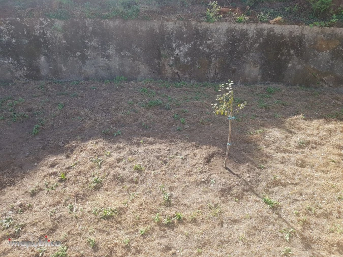 Moradia T3 para Arrendamento em Vade Foto 22