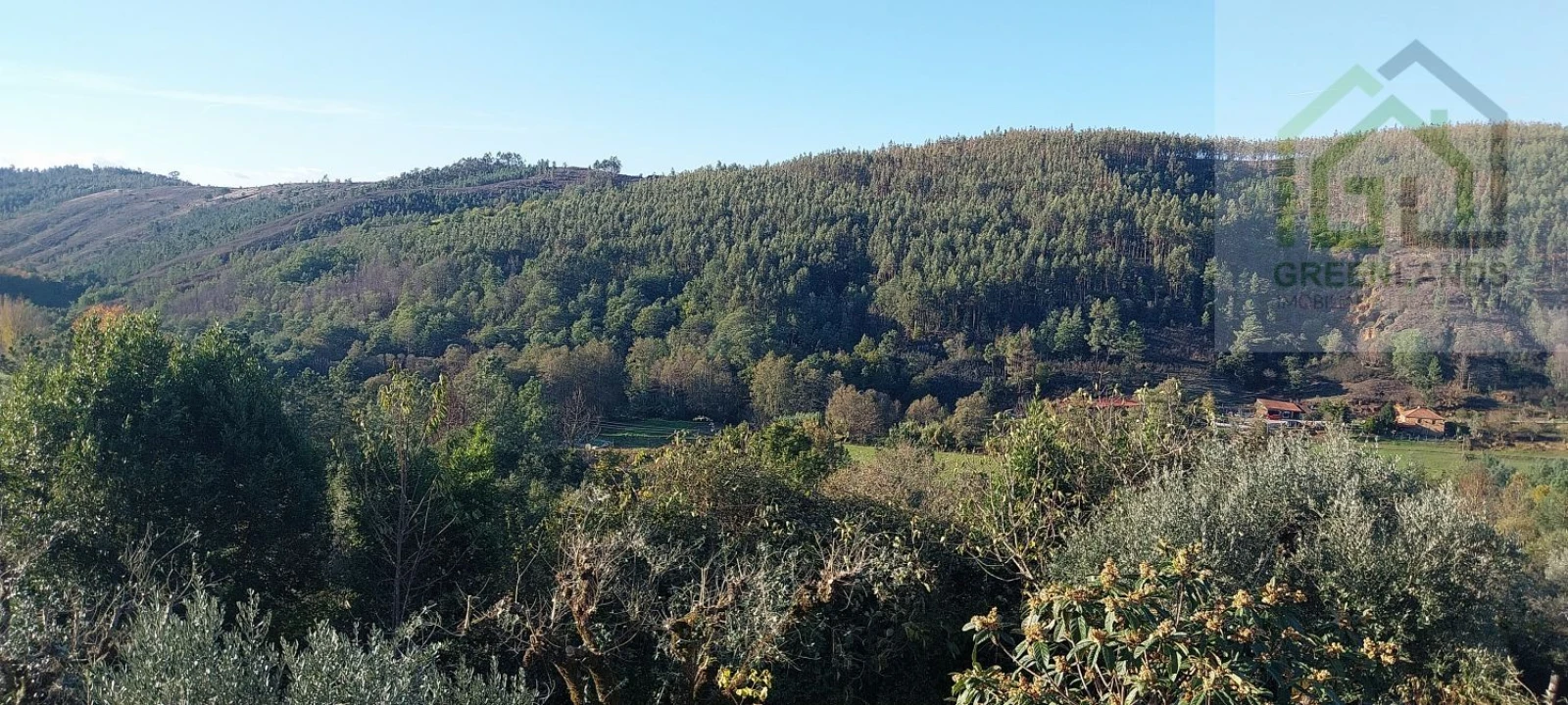 Moradia T3 para Venda em Folques Foto 6